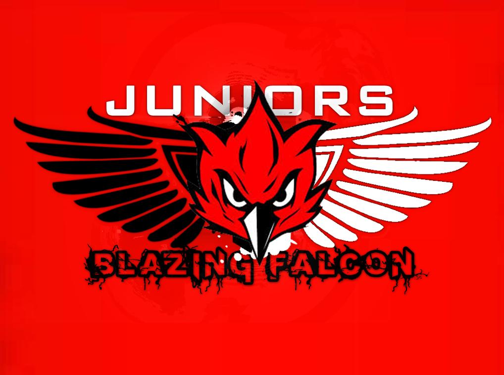 Blazing Falcon